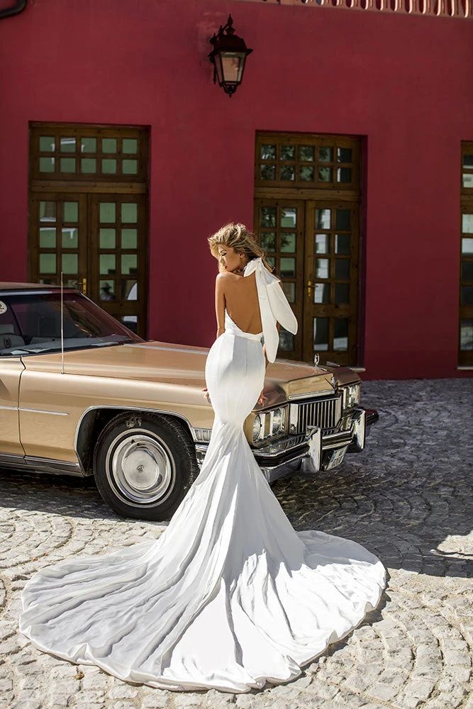 Shopalbina2022 Spring 2020 Elegant Mermaid Bridal Dress 4 Shopalbina2022 Spring 2020 Elegant Mermaid Bridal Dress