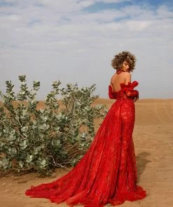 Shopalbina2022 Red Embellished Gown DESERTE