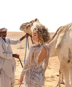 Shopalbina2022 DESERTE Mini Silver Dress 5 Shopalbina2022 DESERTE Mini Silver Dress