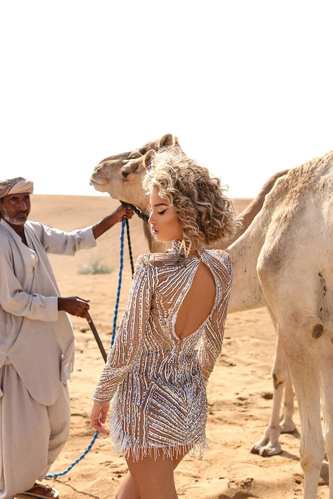 Shopalbina2022 DESERTE Mini Silver Dress 3 Shopalbina2022 DESERTE Mini Silver Dress