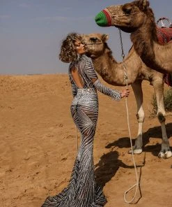 Shopalbina2022 DESERTE Prim Silver Dress