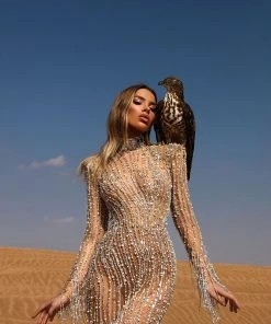 Shopalbina2022 High Neck Crystal Dress