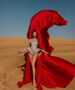 Shopalbina2022 Silver Bodysuit