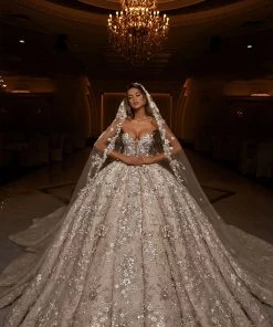 Shopalbina2022 Bridal Couture Corset Bridal Gown